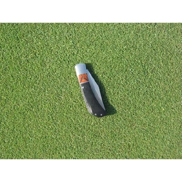 芝生の種・最高級ベントグラス 007 ダブルオーセブン 5Kg(芝) |  | 03