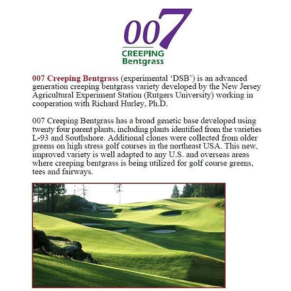 芝生の種・最高級ベントグラス 007 ダブルオーセブン 5Kg(芝) |  | 04