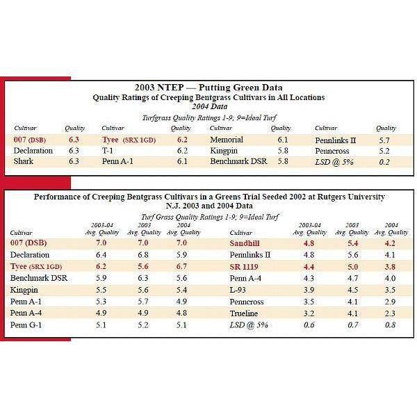 芝生の種・最高級ベントグラス 007 ダブルオーセブン 5Kg(芝) |  | 05