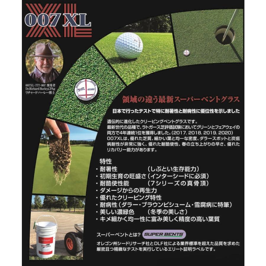 芝生の種・最高級ベントグラス 007XL ダブルオーセブンXL 250g×4(芝
