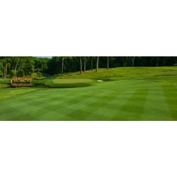 芝生の種・最高級ベントグラス 777 トリプルセブン 2Kg(芝) |  | 01