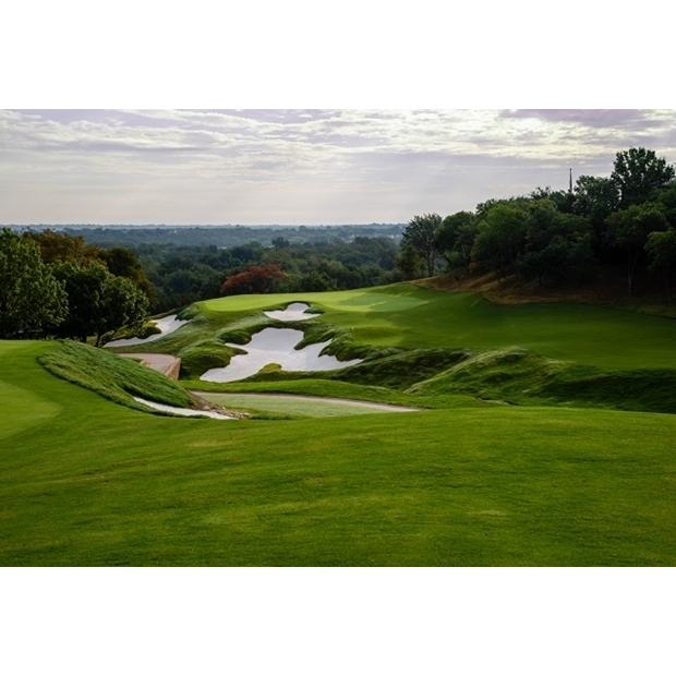 芝生の種・最高級ベントグラス 777 トリプルセブン 2Kg(芝) |  | 02