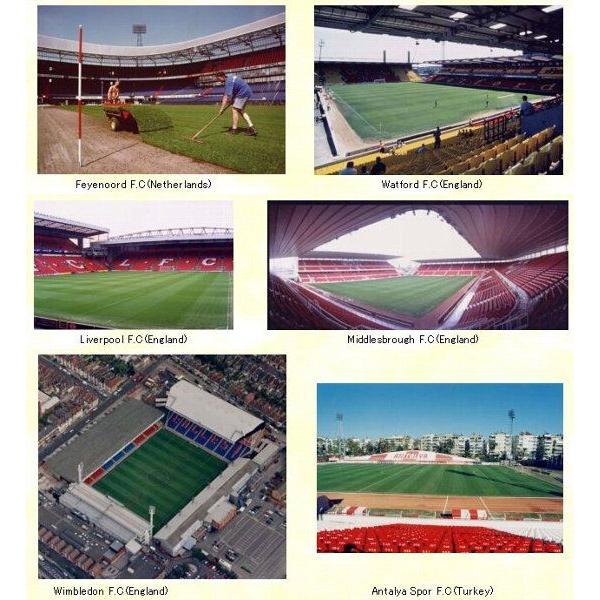 TERRACOTTEM テラコッテム 5Kg [農水省登録 輸第6947号] |  | 01