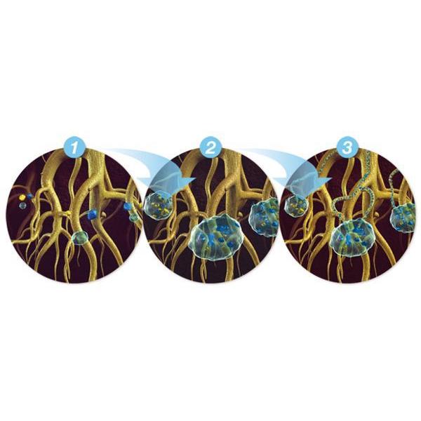 TERRACOTTEM テラコッテム 5Kg [農水省登録 輸第6947号] |  | 02