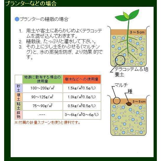テラコッテム150g×6個[農水省登録 輸第6947号]と便利なグリーンガンのセット |  | 03