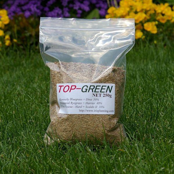芝生の種・美しい緑を保つTOP-GREEN 250g(芝) | 