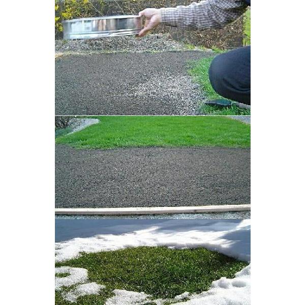 芝生の種・美しい緑を保つTOP-GREEN 250g(芝)｜irisplanning｜05