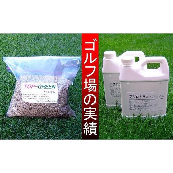 TOP-GREEN芝生種500ｇ×2と芝生(芝)用有機液体肥料アグロトラスト１リットルのセット | 