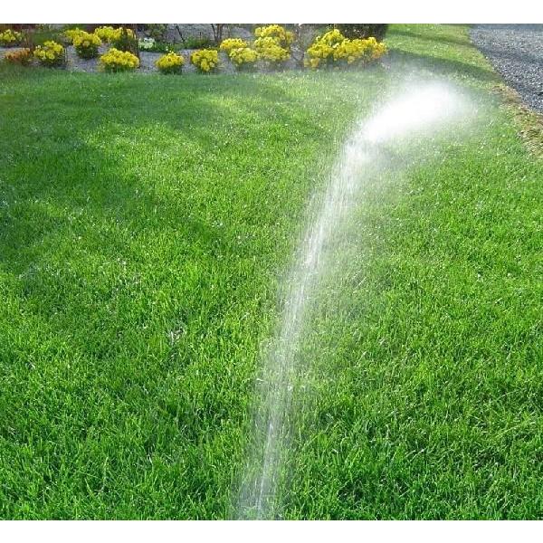 TOP-GREEN芝生種500ｇと芝生用有機液体肥料アグロトラスト１リットルのセット |  | 03