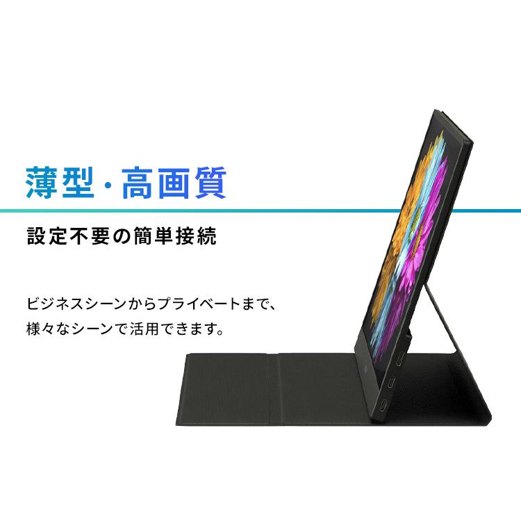 IRIS OHYAMA モニター 15.6インチ 薄型 ポータブルモニター DP