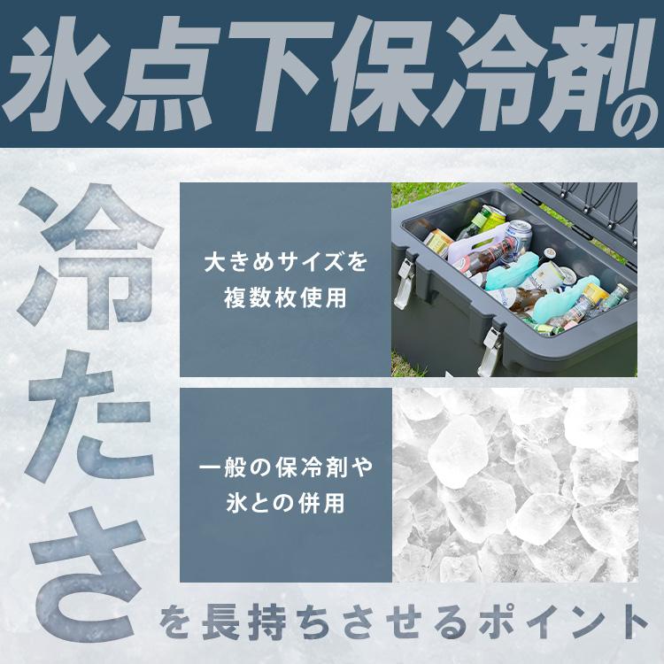 IRIS OHYAMA 保冷剤 氷点下 ハード クーラーボックス お弁当