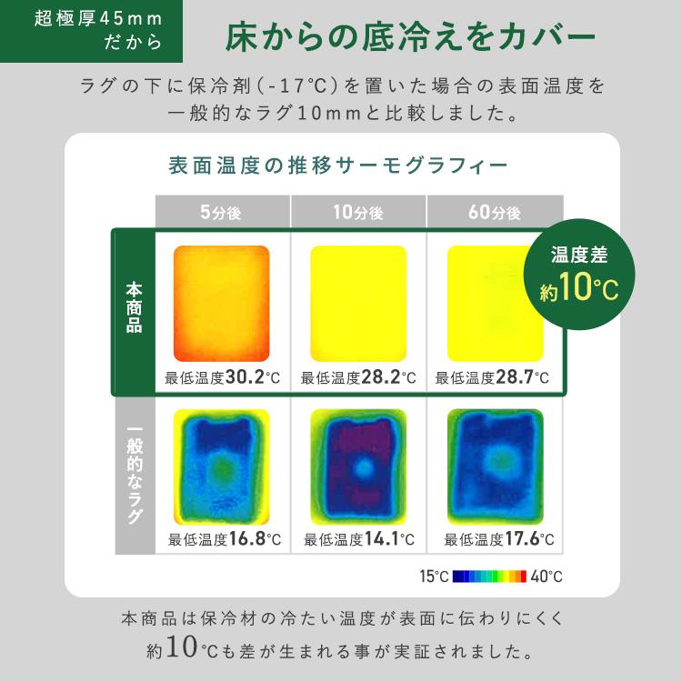 ラグ 3畳 厚手 カーペット おしゃれ リビング 北欧 オールシーズン 滑り止め ホットカーペット対応 ラグマット アイリスオーヤマ ヘリンボーン ACRFG-1824_10