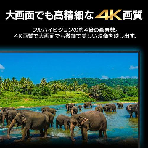 IRIS OHYAMA（アイリスオーヤマ） (設置サービス対象) 大型