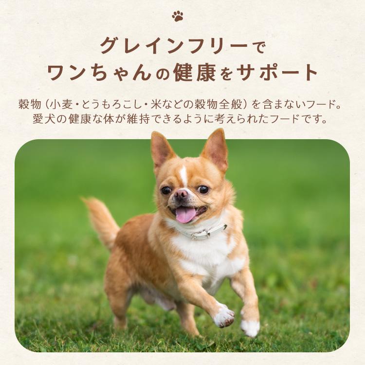 IRIS OHYAMA（アイリスオーヤマ） ドッグフード 犬 ウェットフード 3P