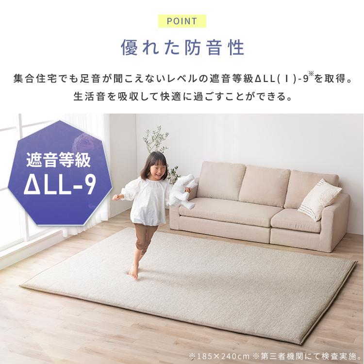 IRIS OHYAMA（アイリスオーヤマ） ラグ 夏用 2畳 接触冷感 ひんやり 冷