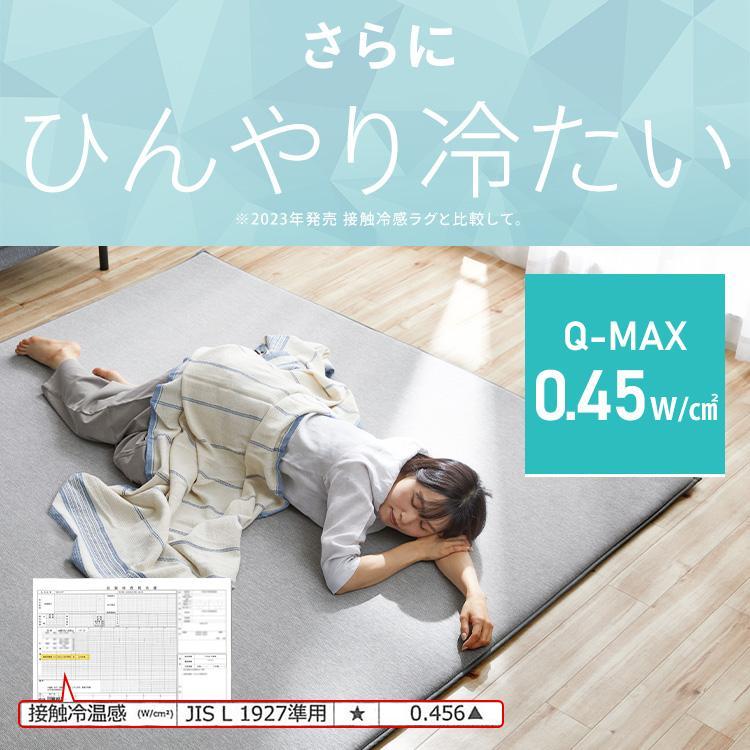 IRIS OHYAMA（アイリスオーヤマ） ラグ カーペット 3畳 厚手