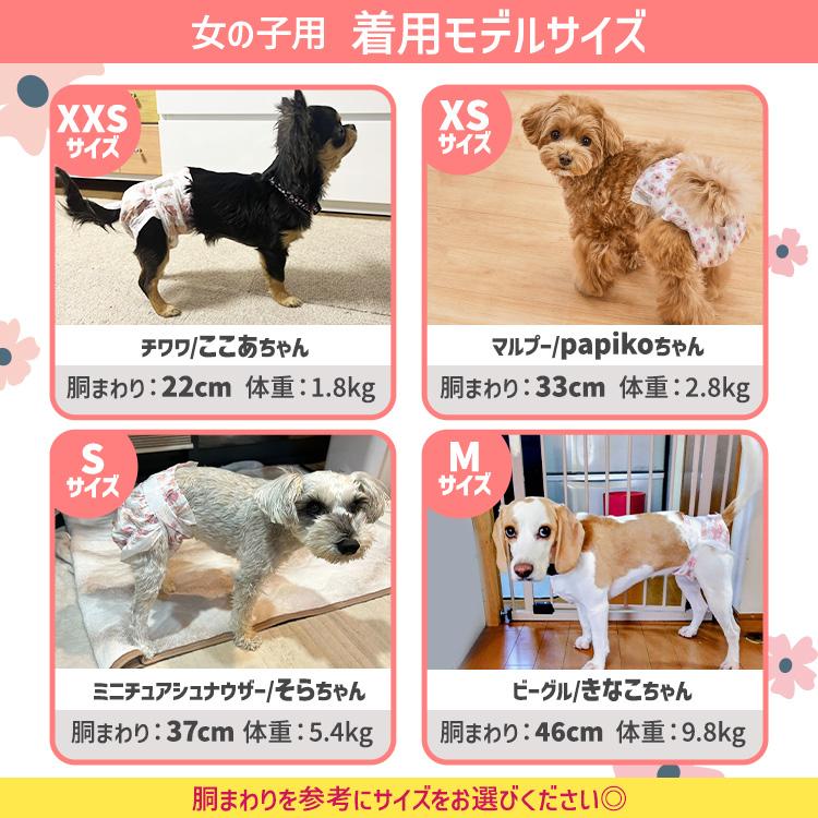 IRIS OHYAMA（アイリスオーヤマ） ＼最大4回分吸収／ 犬 オムツ ペット
