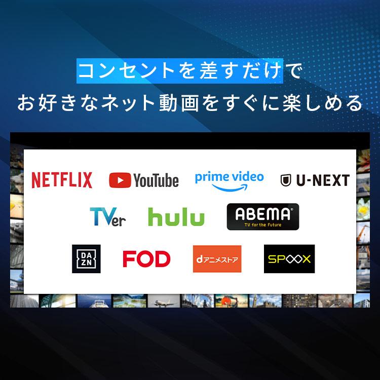 IRIS OHYAMA（アイリスオーヤマ） テレビ チューナーレステレビ 32V型