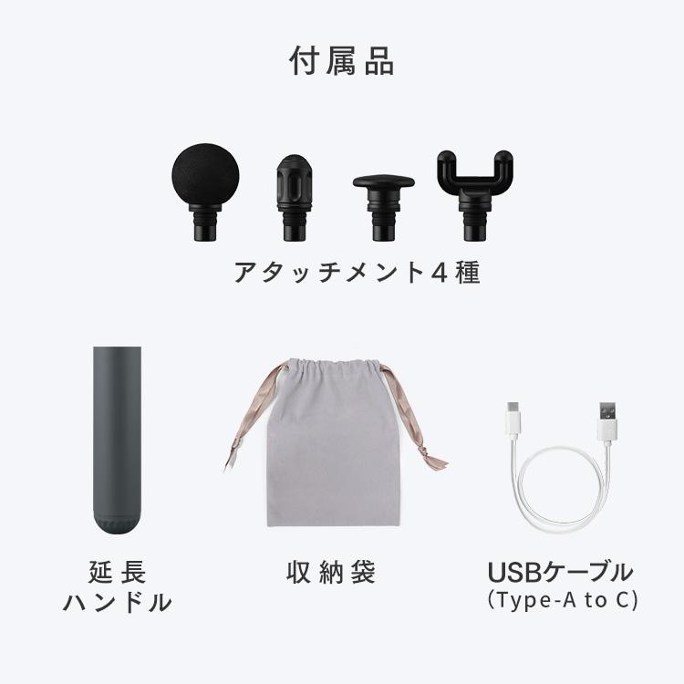IRIS OHYAMA（アイリスオーヤマ） ボディケアガン 小型 軽量 延長
