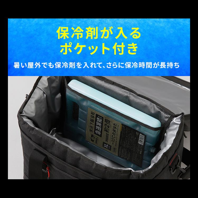 IRIS OHYAMA（アイリスオーヤマ） クーラーボックス 小型 15L 保冷