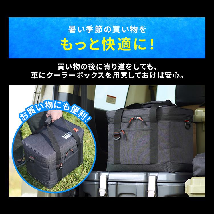 IRIS OHYAMA（アイリスオーヤマ） クーラーボックス 小型 15L 保冷