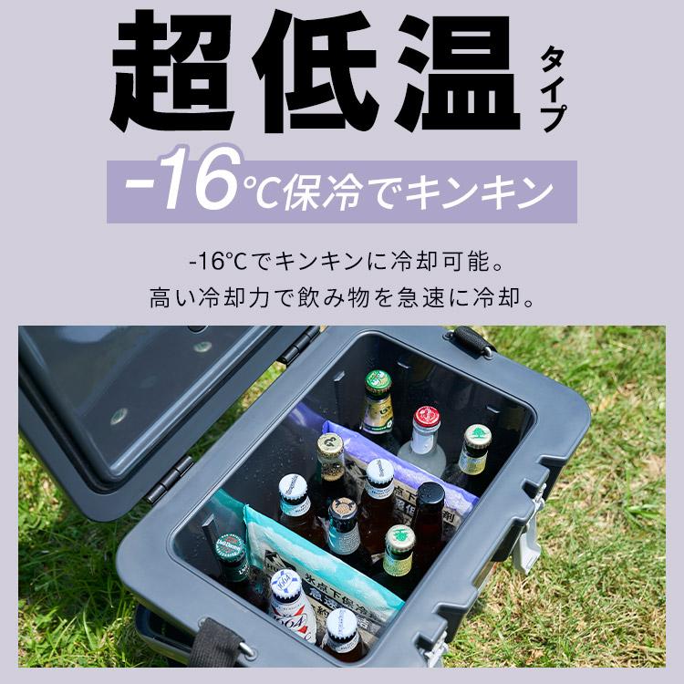 IRIS OHYAMA（アイリスオーヤマ） 保冷剤 パック Sサイズ 長時間 急速