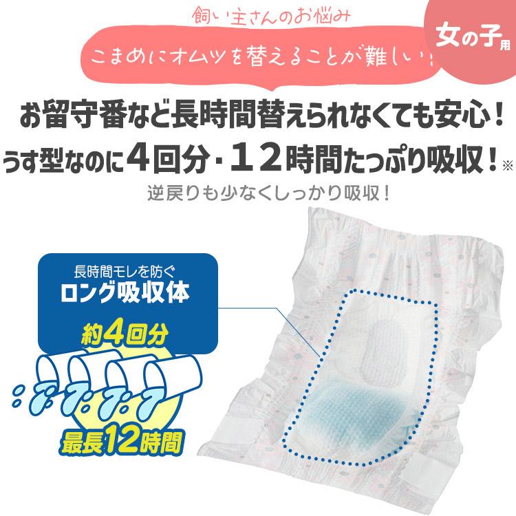 BUS U様　　専用　　　男の子用　アイリス　ピタフィット 430枚　Sサイズ BUS U様 専用 男の子用 アイリス ピタフィット 430枚 Sサイズ