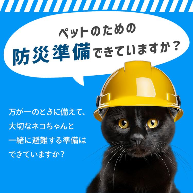 防災グッズ 防災セット 猫用 15点 防災バッグ ペット 非常用持ち出し袋 フード別 避難グッズ 災害セット アイリスオーヤマ PBSN-15 *【JB】 | IRIS OHYAMA | 02
