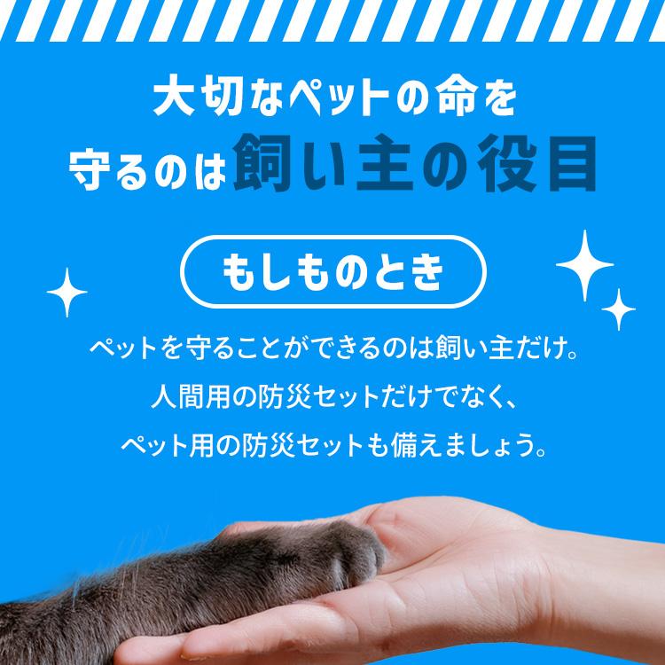 防災グッズ 防災セット 猫用 15点 防災バッグ ペット 非常用持ち出し袋 フード別 避難グッズ 災害セット アイリスオーヤマ PBSN-15 *【JB】 | IRIS OHYAMA | 03