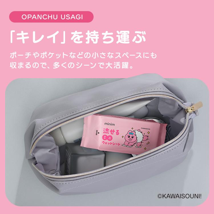 IRIS OHYAMA（アイリスオーヤマ） ウェットティッシュ 携帯 流せる 48