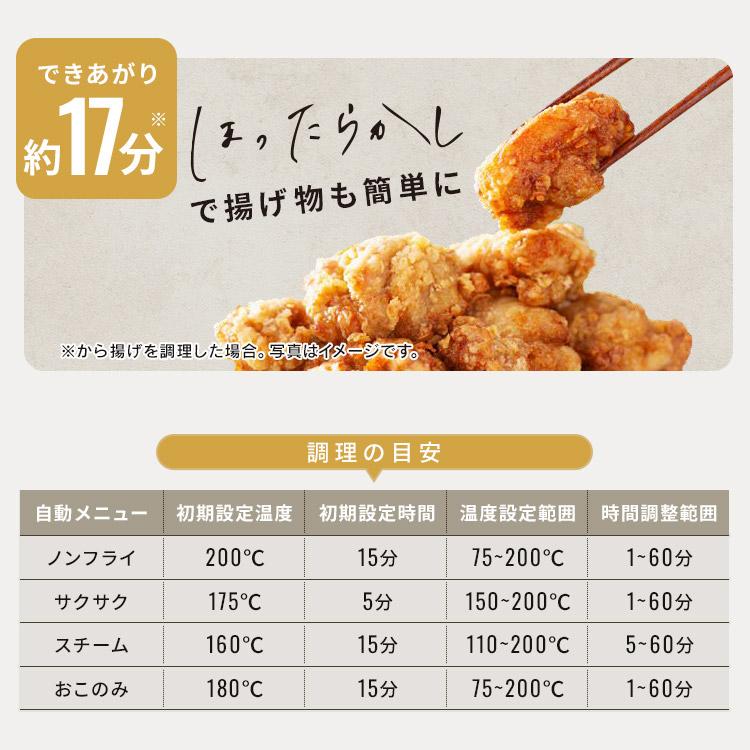 IRIS OHYAMA（アイリスオーヤマ） 電気フライヤー 3L 家庭用 スチーム