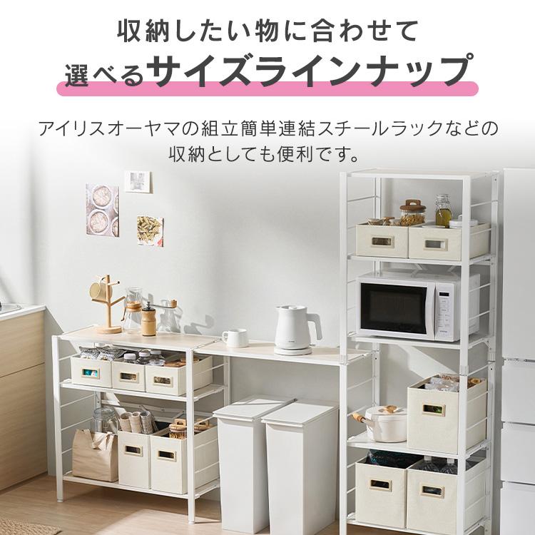 IRIS OHYAMA（アイリスオーヤマ） 収納ボックス 幅17.5 奥行32.5 高さ