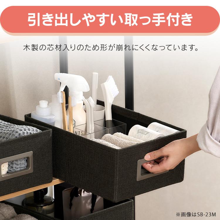 IRIS OHYAMA（アイリスオーヤマ） 収納ボックス 幅17.5 奥行32.5 高さ