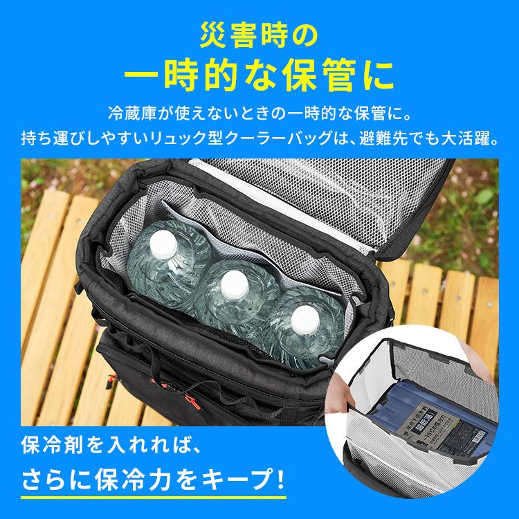 IRIS OHYAMA（アイリスオーヤマ） 保冷バッグ 保冷リュック 15L