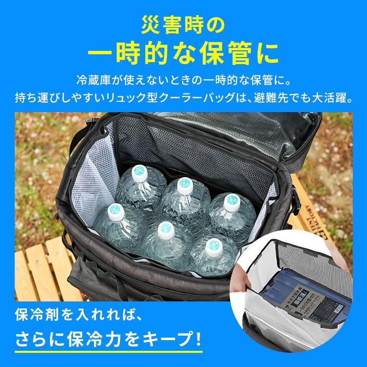 IRIS OHYAMA（アイリスオーヤマ） 保冷バッグ 保冷リュック 30L 大容量
