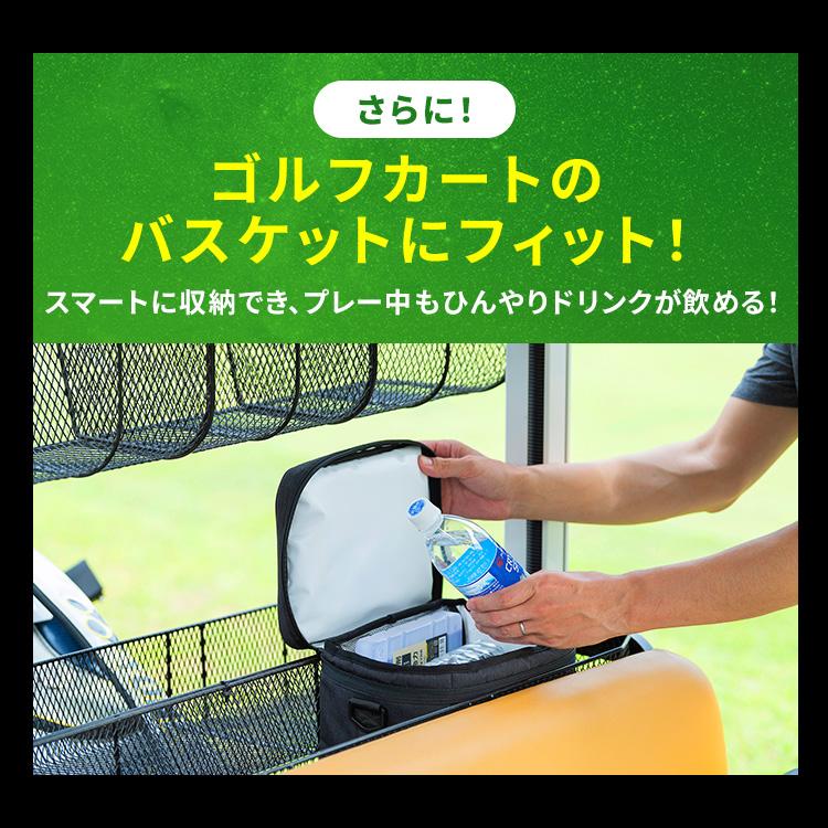 IRIS OHYAMA（アイリスオーヤマ） クーラーボックス 小型 ソフト