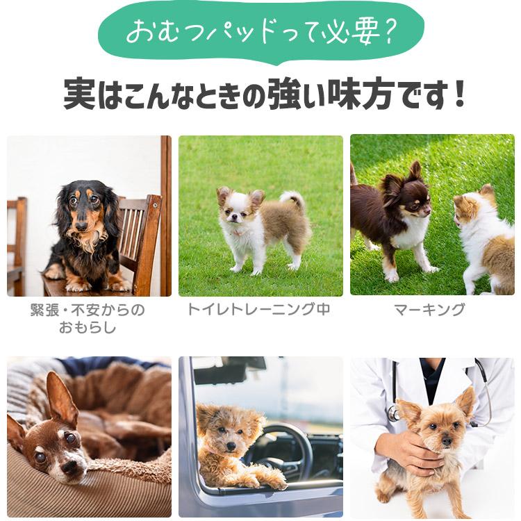 犬 オムツ おむつ用パッド SS 104枚 S 84枚 M 60枚 L 50枚 個包装 しっかり吸収 取り付け簡単 アイリスオーヤマ ピタフィット おむつパッド OPD * | IRIS OHYAMA | 06