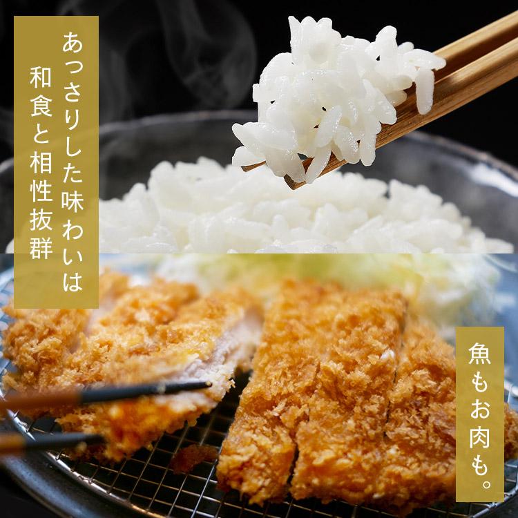 IRIS OHYAMA（アイリスオーヤマ） 米 10kg 令和6年産 無洗米 北海道産