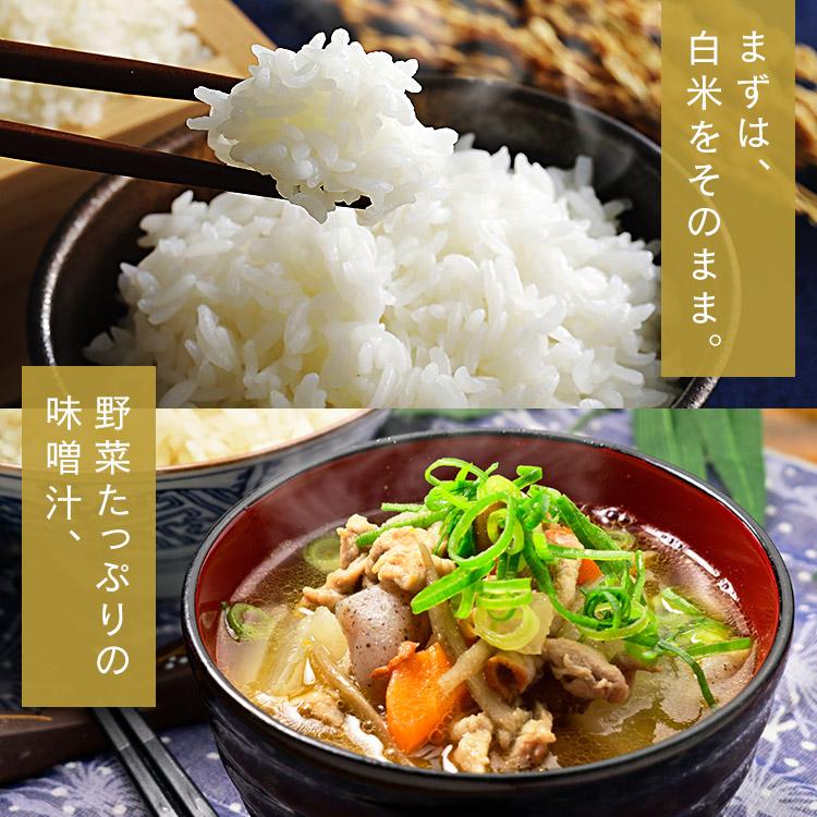 IRIS OHYAMA（アイリスオーヤマ） 米 10kg 令和6年産 米 お米 送料無料