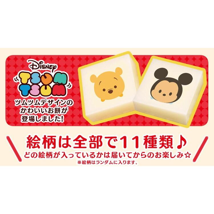 アイバニーズ　おもち様用 ACCESSORIES | PRODUCTS | Ibanez guitars - アイバニーズ