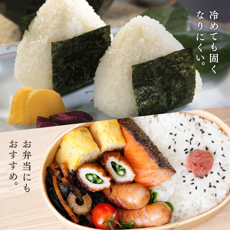 IRIS OHYAMA パックご飯 180g 60食 アイリスオーヤマ