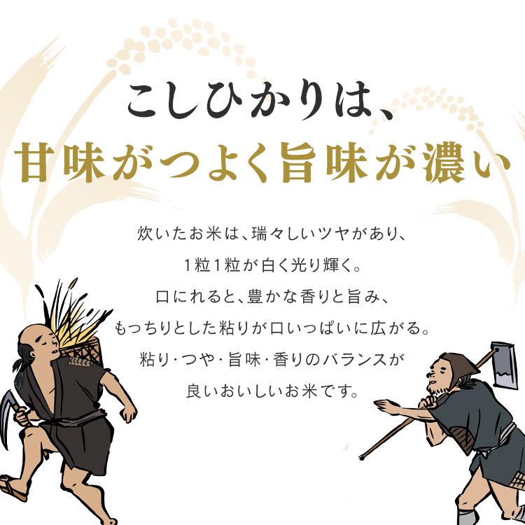 米 1.5kg  4袋セット アイリスオーヤマ お米 ご飯 ごはん 白米 送料無料  無洗米 生鮮米 新潟県産こしひかり｜irisplaza｜07
