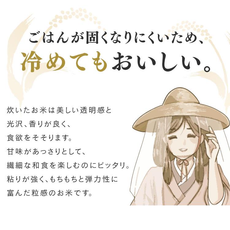 無洗米 秋田県産 あきたこまち 米 20kg 送料無料 お米 令和5年産 20kg(5kg×4) 白米 アイリスオーヤマ｜irisplaza｜05