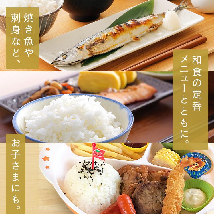 IRIS OHYAMA 米 20kg 令和6年産 新米 5kg×4 無洗米 宮城県産