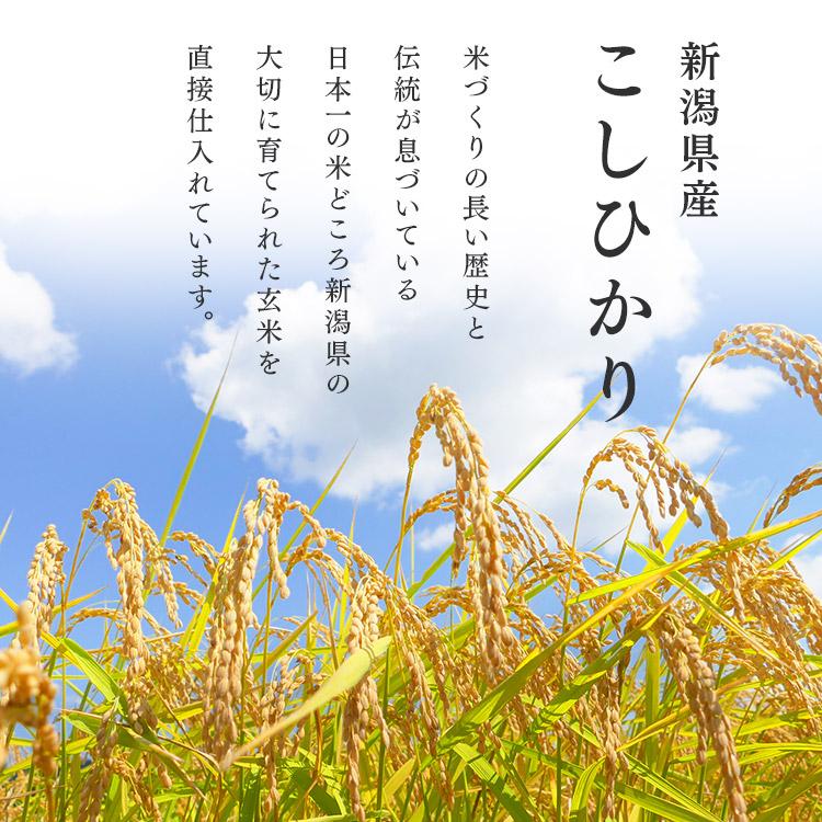 IRIS OHYAMA 米 20kg 令和6年産 無洗米 新潟県産 こしひかり IRIS OHYAMA 米 20kg 令和6年産 無洗米 新潟県産 こしひかり