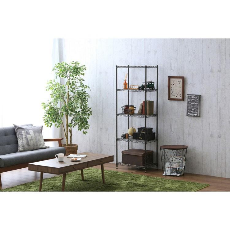 IRIS OHYAMA（アイリスオーヤマ） スチールラック 幅55 5段 2個セット