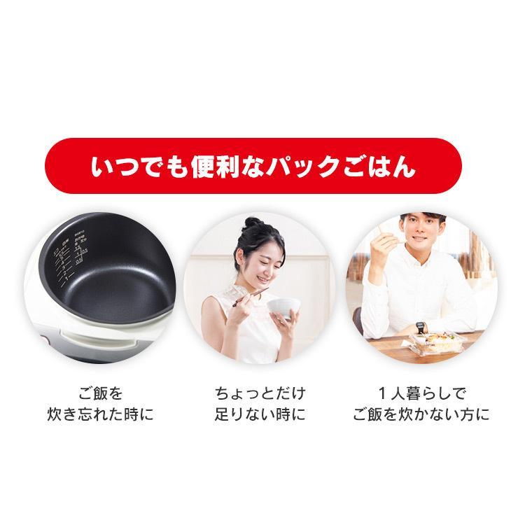 IRIS OHYAMA（アイリスオーヤマ） パックご飯 120g 120食 レトルトご飯