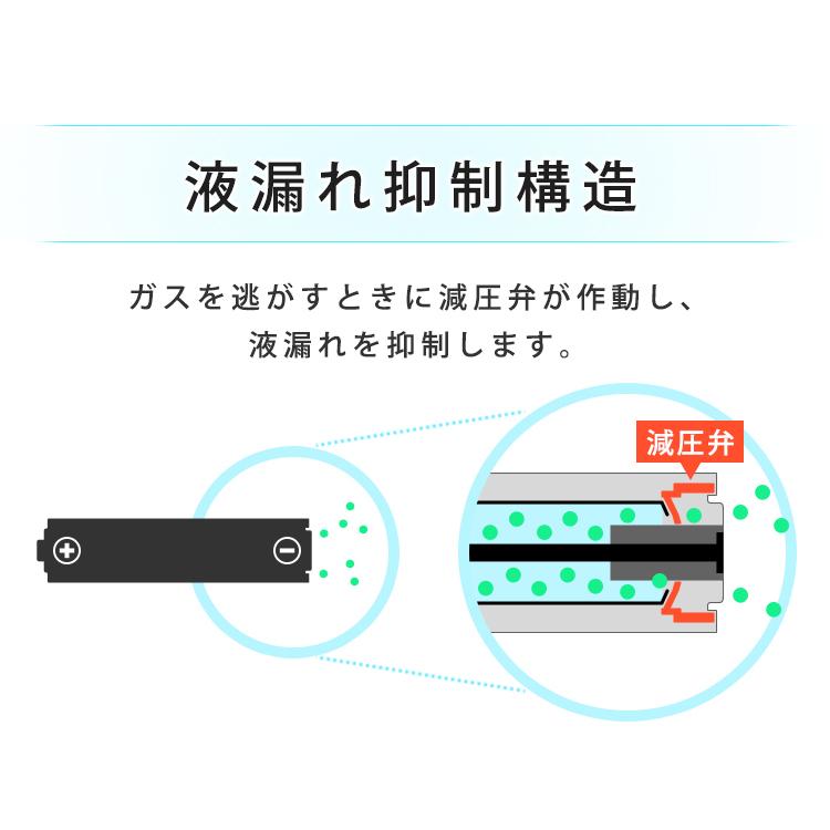 乾電池 単3 単三 単4 単四 電池 BIGCAPA basic 【代金引換不可・【メール便】【代金引換不可・後払い決済不可・日時指定不可】 | IRIS OHYAMA | 03