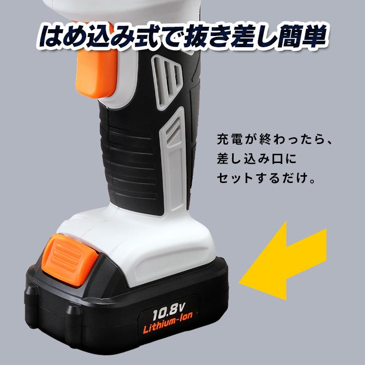 IRIS OHYAMA（アイリスオーヤマ） 空気入れ 充電式 バッテリー2個