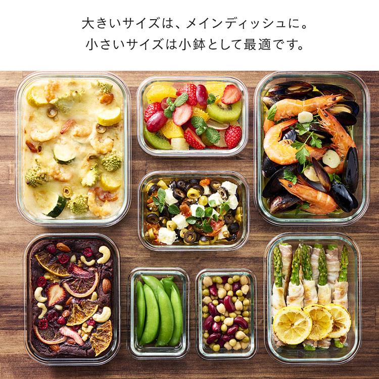 IRIS OHYAMA（アイリスオーヤマ） 耐熱ガラス容器 蓋付き 10点セット